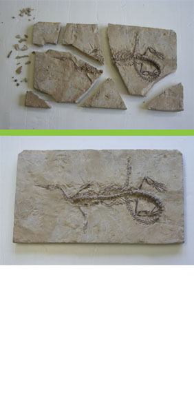 Cricket Harbeck Objects Conservation