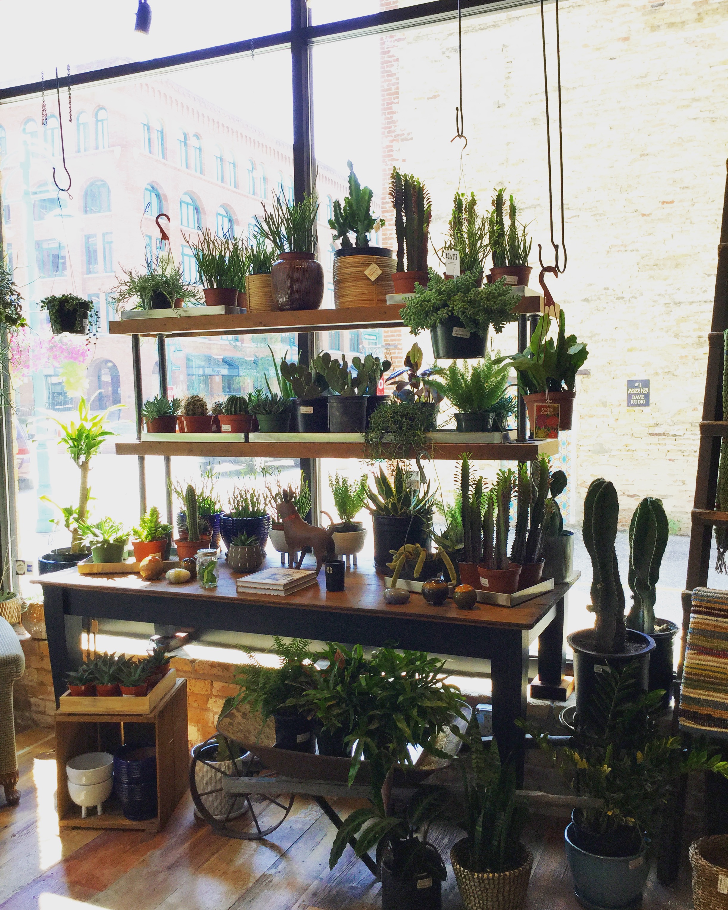 Plant Shelf MOD GEN.JPG