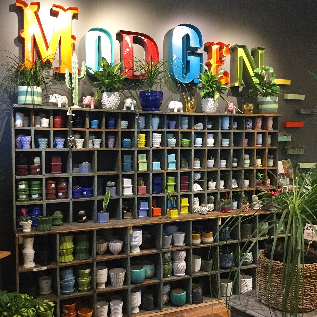 Pots Wall MOD GEN.JPG