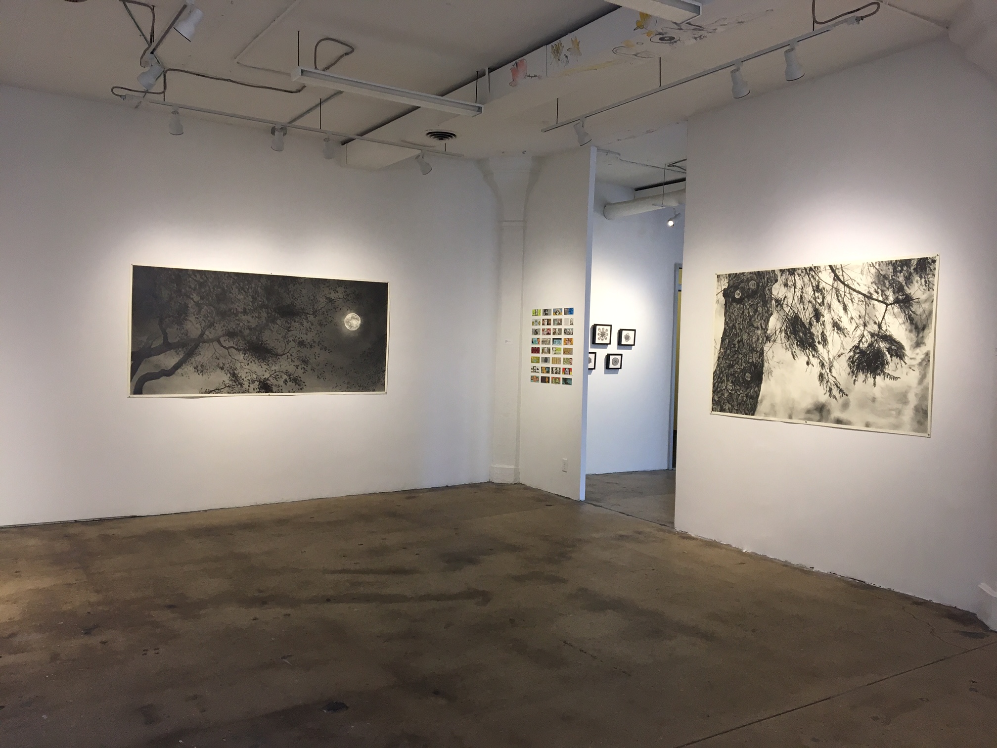 Installation View, Drawn Out